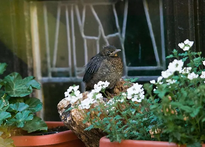 Hotel Altdeutsche Weinstuben